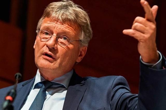 Fraktionschef Meuthen nimmt AfD-Mandat im Europaparlament an