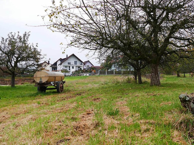 Rund 70 Meter vom geplanten Schafstall...es Baugebiets am Drriweg in Mappach.   | Foto: Langelott