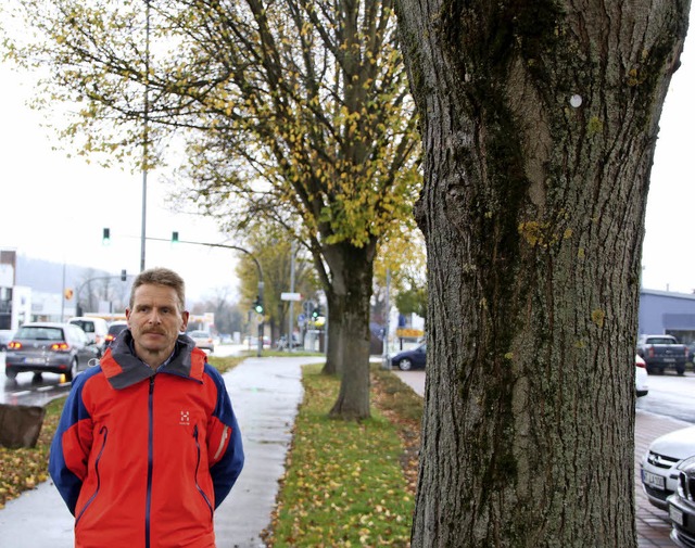 Bernd Kramm, Leiter der Stadtgrtnerei...er Strae in Tiengen gefllt werden.    | Foto: Kares