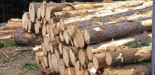Das Thema Holzverkauf beschftigte den...Waldgenossenschaft Sdschwarzwald zu.   | Foto: Karin Steinebrunner