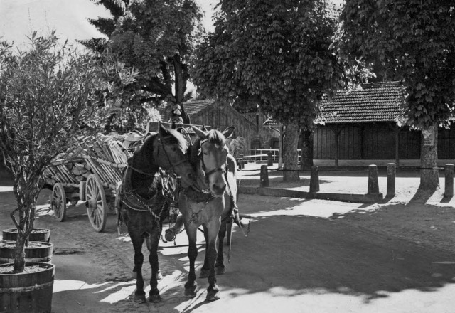 Das reinste Idyll: Steinener Marktplatz um 1920   | Foto: privat