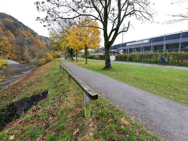 Der Tatort: Links ein ein Meter breite...rgrund die Hecke mit Zaun zum Stadion.  | Foto: ingo schneider