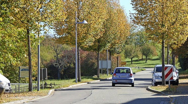 Vor allem Richtung Lucke  sind zu viel.... Auf sie  wartet knftig ein Blitzer.  | Foto: Herbert Frey