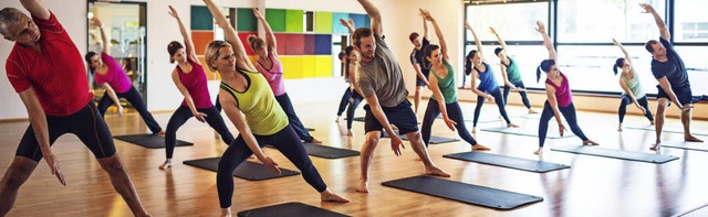 Gemeinsam trainieren unter professione...mem Ambiente: Das bietet Josko Fitness  | Foto: Herbert Frey