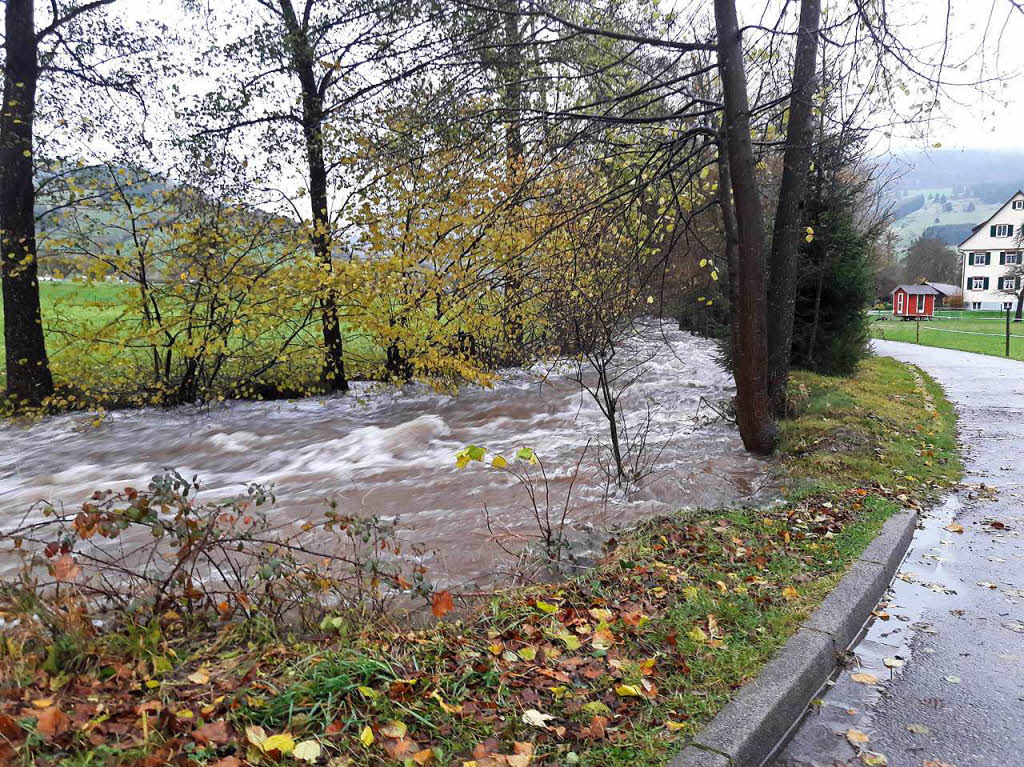 Die Wassermassen bereiteten auch der Oberrieder Feuerwehr Arbeit.