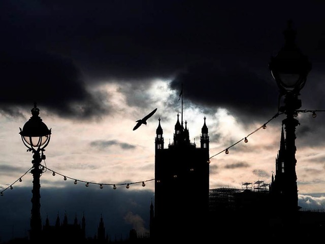 Eine Mwe fliegt nahe der Themse in Lo...Parlaments im Vereinigten Knigreich.   | Foto: dpa