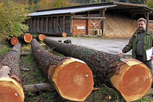 Der Wald als sichere Einnahmequelle