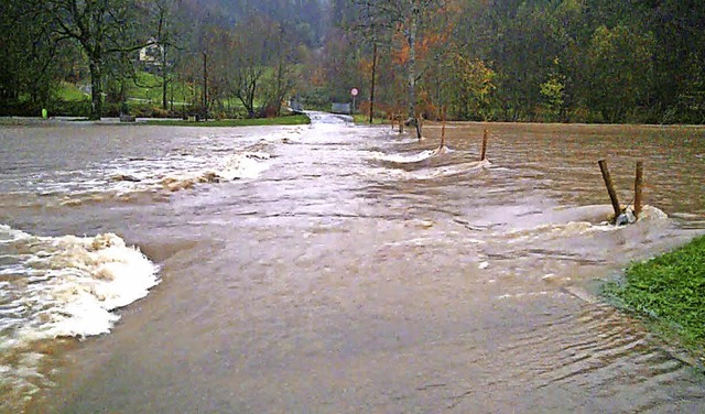 Hochwasser in Langenau am 12. November 2017.  | Foto: Nicolai Kapitz