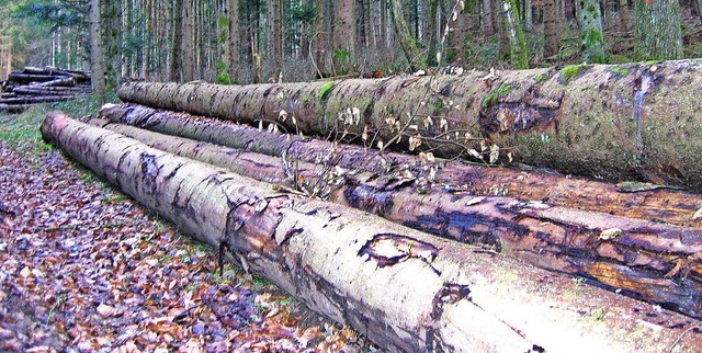 Die drei Forstbetriebsgemeinschaften d...arktung in Zukunft eventuell bndeln.   | Foto: Archivfoto: Jung-Knoblich
