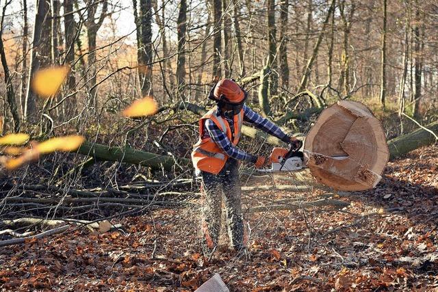 Waldgenossenschaft vermarktet Holz