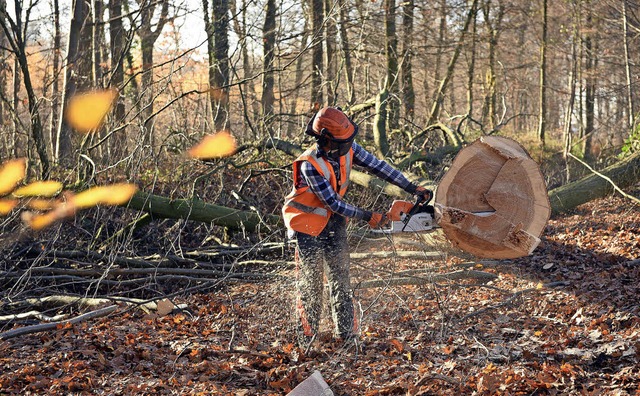 Die Holzvermarktung in der Region wird...genossenschaft Schwarzwald beitreten.   | Foto: Henning Kaiser/DPA