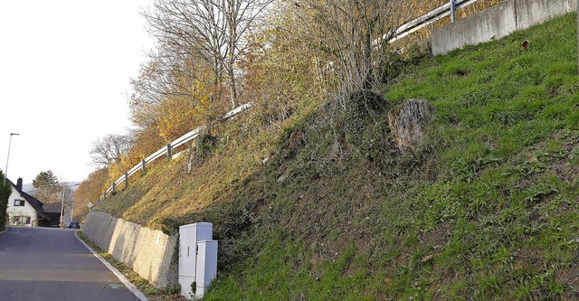 Der Hang um den es geht: Im Vordergrun...en ist und neu gesichert werden soll.   | Foto: Susanne Filz