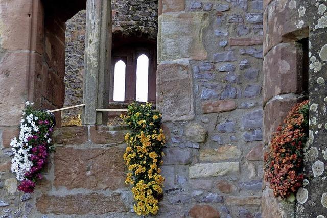 Bunter Herbst auf der Burgruine