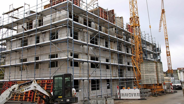 Bereits seit lngerem wird in der Rhein-Au gebaut.   | Foto: Archivfoto: Martin Kpfer