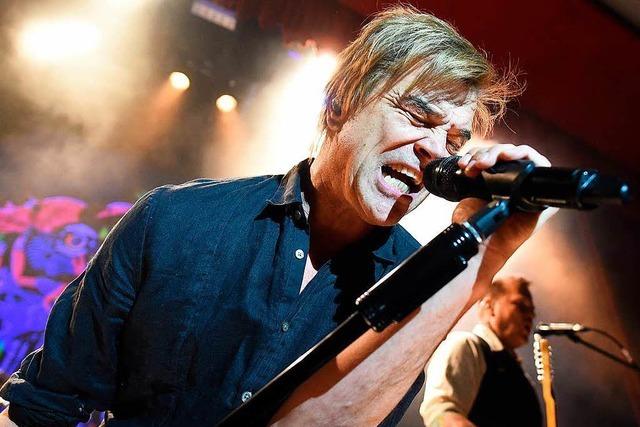 Die Toten Hosen in Freiburg – der Vorverkauf beginnt