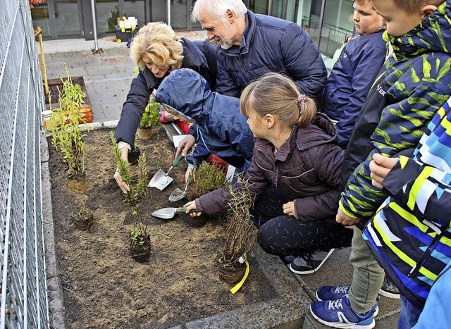 Rmminger Schler, untersttzt von Br...r,  bepflanzen  Beete bei der Schule.   | Foto: Rhein