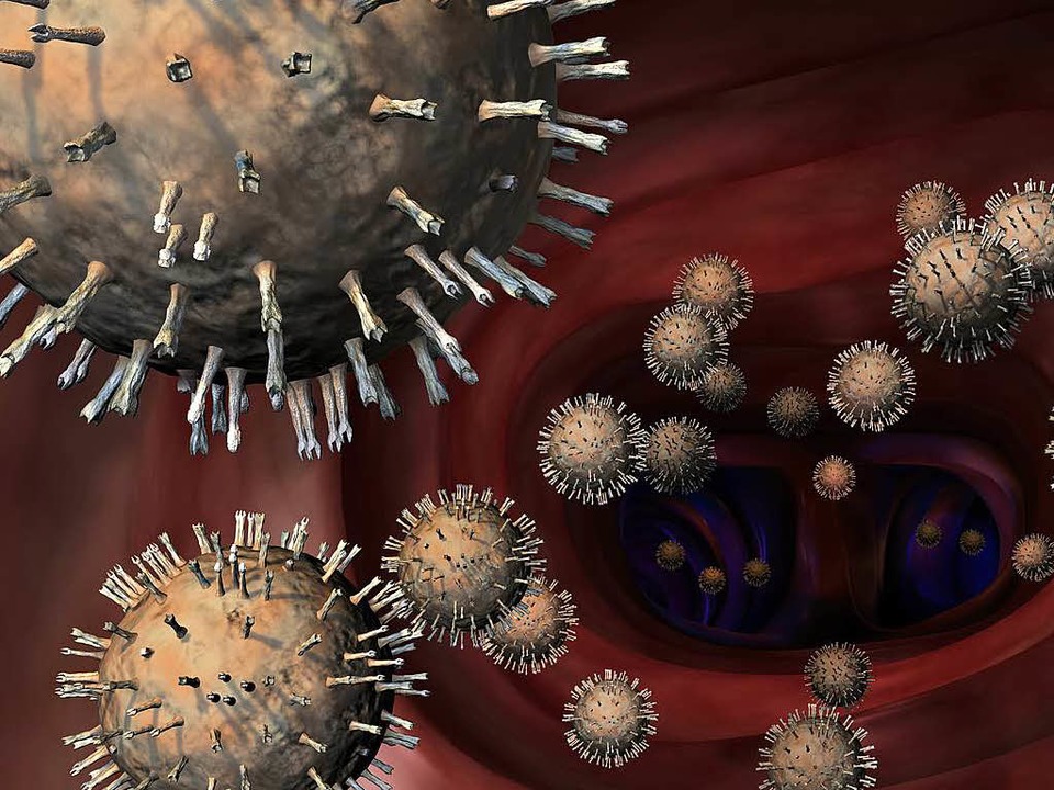 Grippevirus  | Foto: Uwe Alexowski