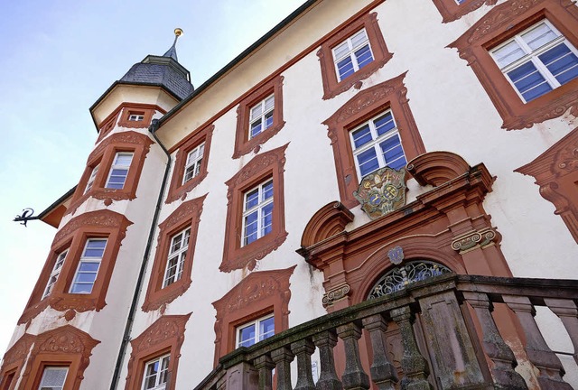 Das Schloss Bonndorf ist sanierungsbed...igentmerin des historischen Gebudes.  | Foto: Stefan Limberger-Andris