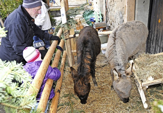 Auf dem 17. Sthlinger Weihnachtsmarkt...achtskrippe mit lebenden Tieren geben.  | Foto: Dietmar Noeske