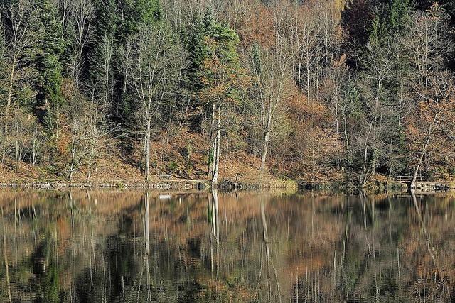 Nachholbedarf am Bergsee