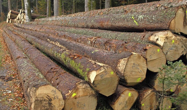 Die Holzvermarktung muss nach einem Kartellrechtsstreit neu geregelt werden.  | Foto: Karin Steinebrunner