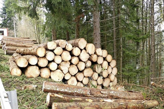 Vorbehalte gegen Waldgenossenschaft