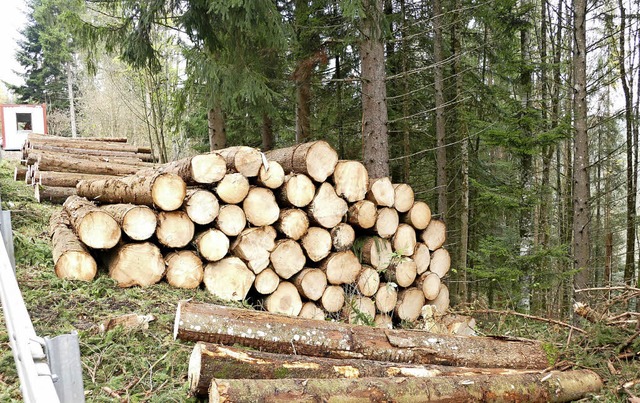 Als unterreprsentiert empfindet der V...den Waldgenossenschaft Sdschwarzwald.  | Foto: Symbolfoto: Stefan Limberger-Andris