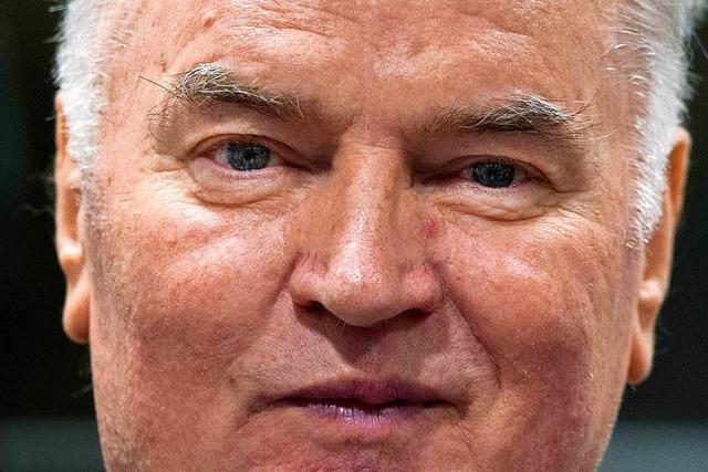 UN-Tribunal: Ratko Mladic zu lebenslanger Haft verurteilt