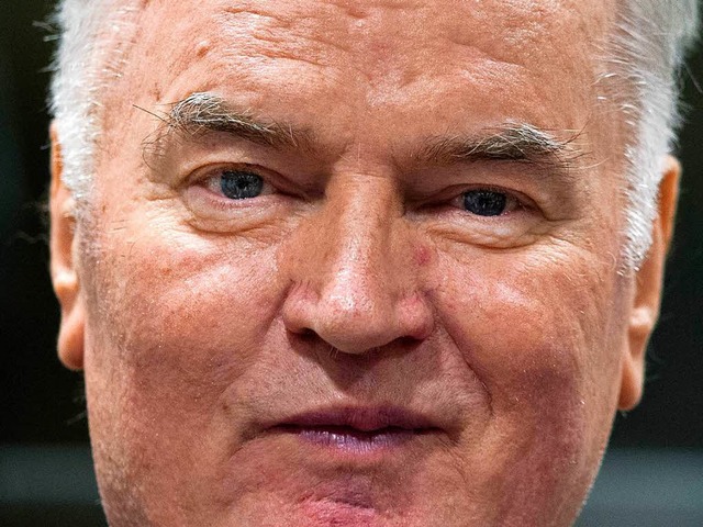 Lebenslange Haft fr Ex-General Ratko Mladic  | Foto: AFP