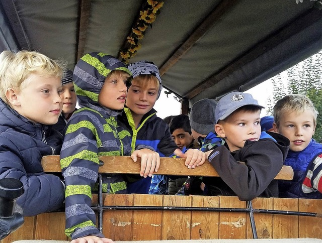 Die Klasse fuhr mit einer Kutsche in den Wald.   | Foto: Anita Hummel