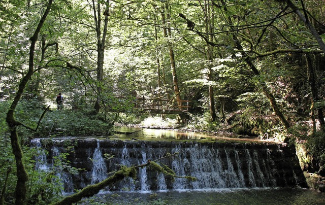 Idylle pur. Dieses Foto entstand in der Gauchachschlucht.   | Foto: Privat