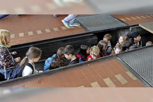 Eine Menge Gummi und viele, viele Autos