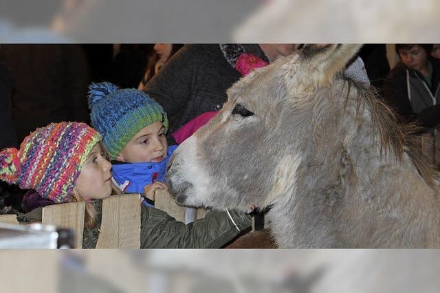 Bewirtung, Musik, Lebendige Weihnachtskrippe und Besuch des Nikolauses in Lffingen