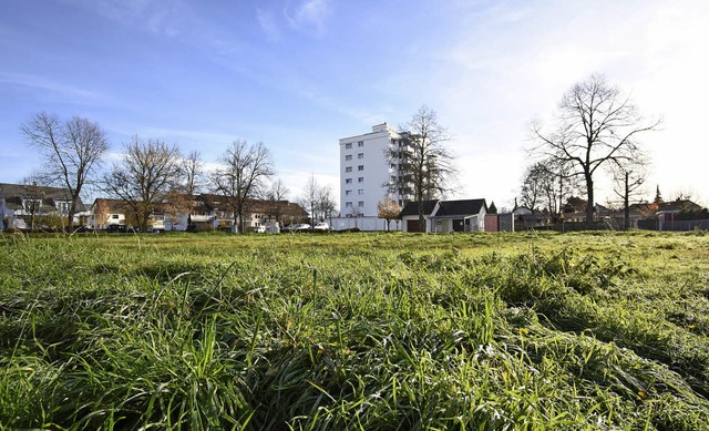 Auf dieser Flche  plant die Gemeinde Teningen einen Komplex mit 32  Wohnungen  | Foto: Jonas Hirt