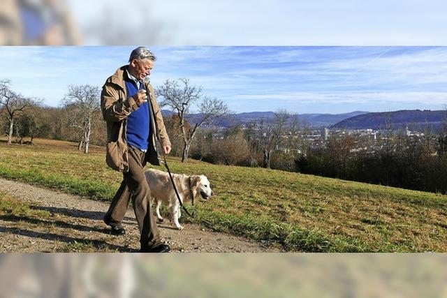 Novembersonne auf dem Tllinger Berg