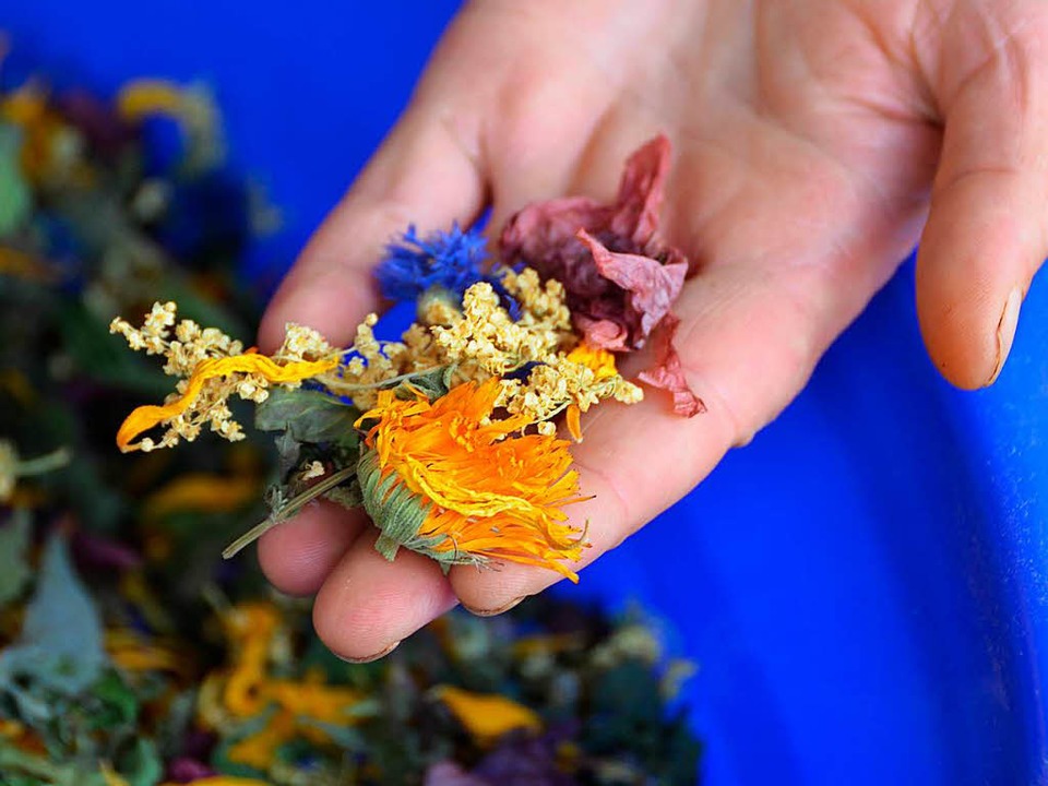 Nur ganze Blten und Bltter, angebaut...Teemischungen der Krutermanufaktur.    | Foto: KISTLER