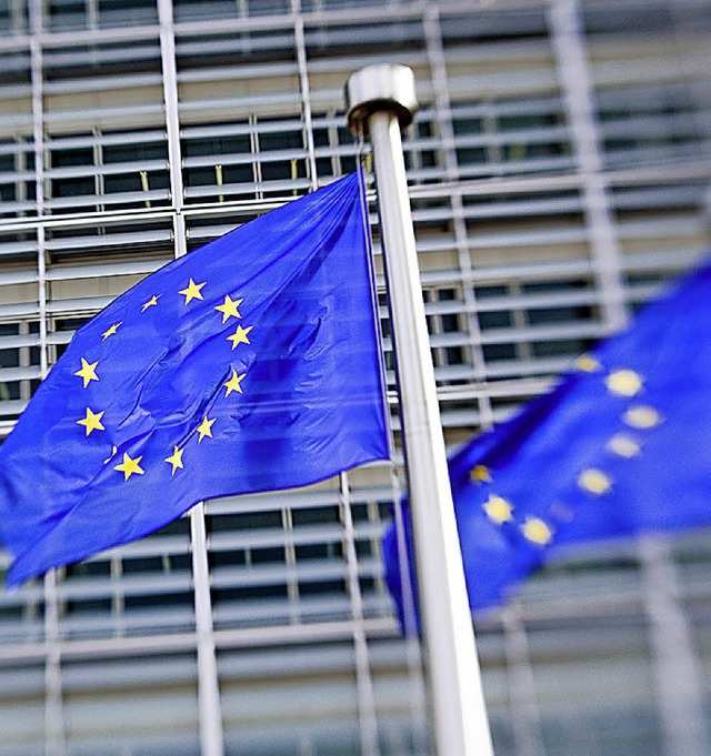 Wieder aus den Tiefen der  Krise heraus: die EU    | Foto: dpa
