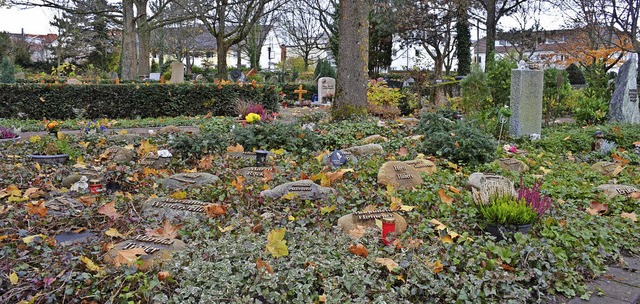 Eines der Urnenfelder auf dem Staufener Friedhof  | Foto: Gabriele Hennicke