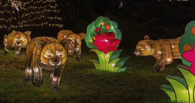 Illuminationen von Tier- und Pflanzenm... zeigt der Europa-Park im Schlosspark.  | Foto: Michel