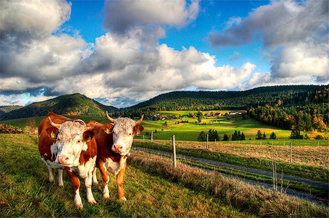 Landschaft und Landwirtschaft sind auc...hren zwei groe Themen des Naturparks.  | Foto: Christoph Wasmer