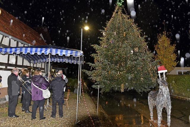 Regen stoppt den Lichterbaum nicht