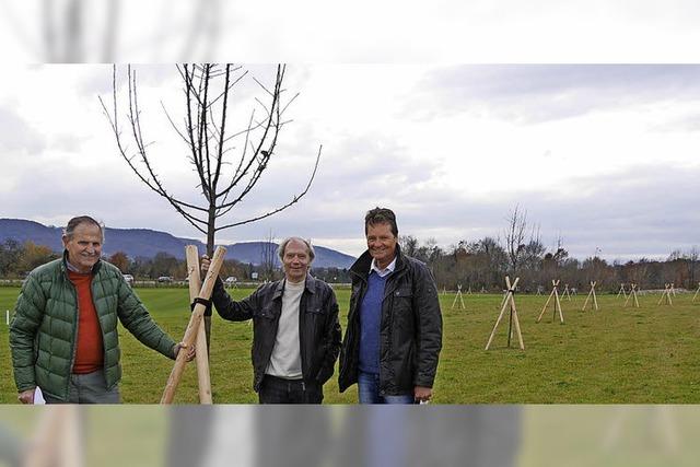 Mehr als 60 000 Euro fr die Natur am Golfplatz