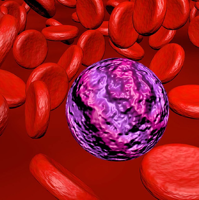Ziel aller Therapien: eine Krebszelle im Blut    | Foto: adobe.com