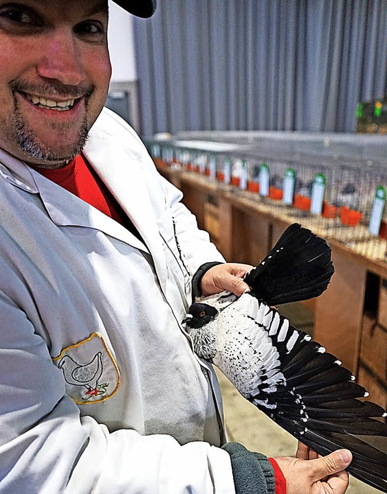 Der Preisrichter hat gut lachen, bei dieser Taube sitzt alles am rechten Fleck.  | Foto: Julius Wilhelm Steckmeister