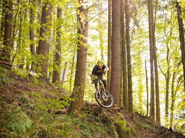 Mountainbiker knnen vom Rosskopf durch den Wald nach Zhringen fahren.  | Foto: Pascal Haupt 