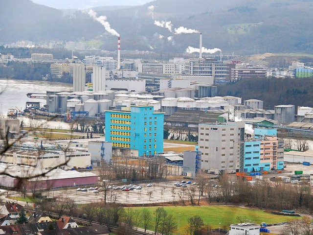 Blick vom Hornfelsen auf das BASF-Areal  | Foto: Ralf Staub