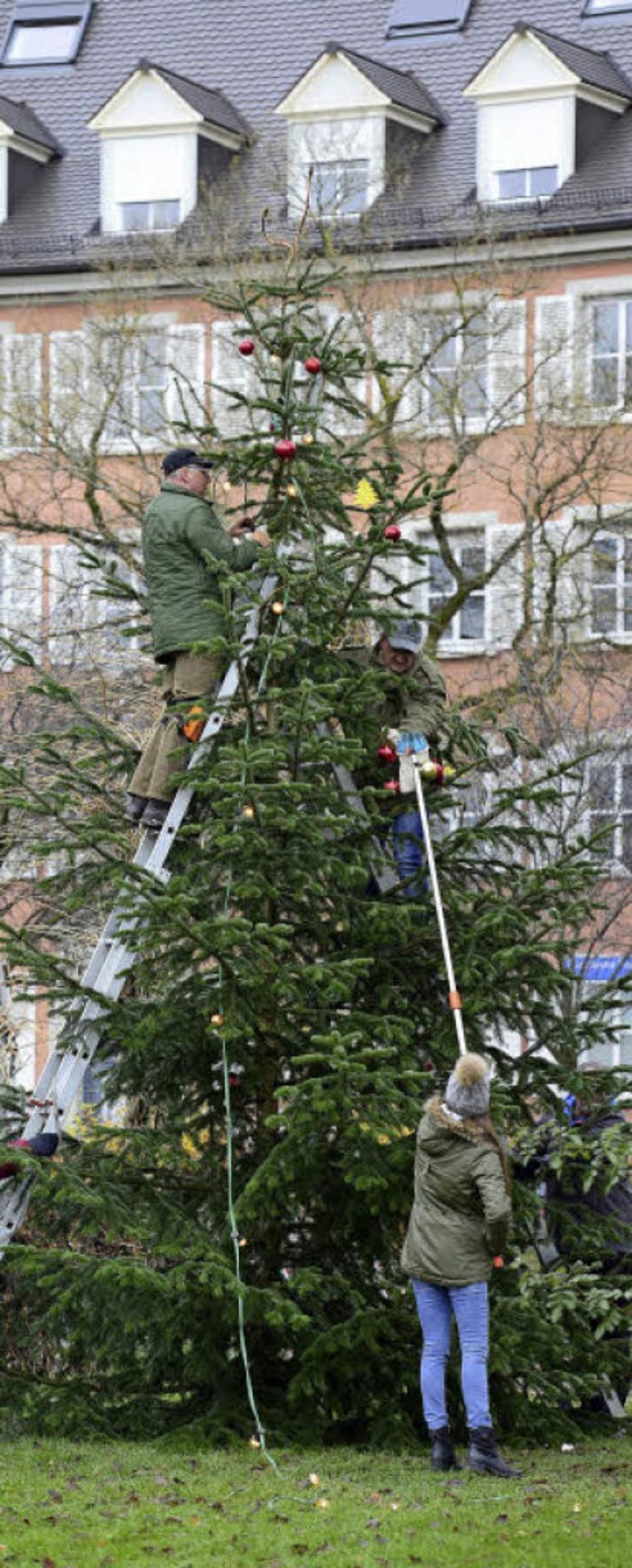 Um den Baumschmuck flott ber groe H...ngstieliger Apfelpfcker zum Einsatz.   | Foto: Ingo Schneider