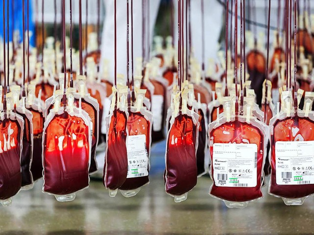 Blutspenden werden auch in der Vorweihnachtszeit dringend bentigt (Symbolbild)  | Foto: Jrg F. Mller/DRK