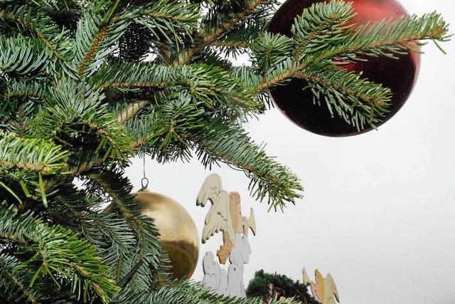 Zwei Weihnachtsbäume in Lörrach gestohlen