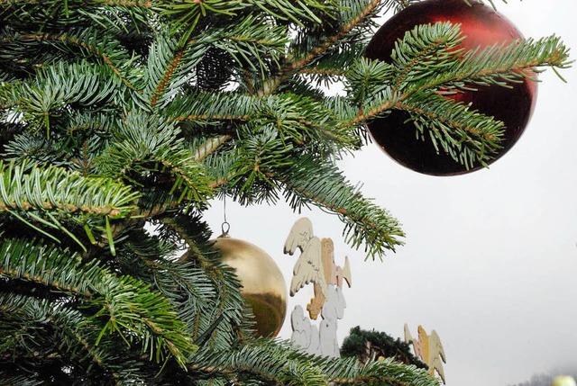 Die Lrracher Polizei sucht einen Weihnachtsbaumdieb (Symbolbild)  | Foto: Maja Tolsdorf